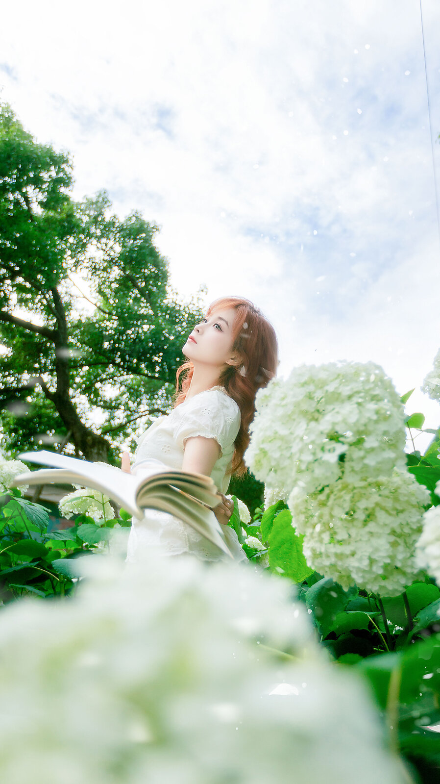 风递花笺