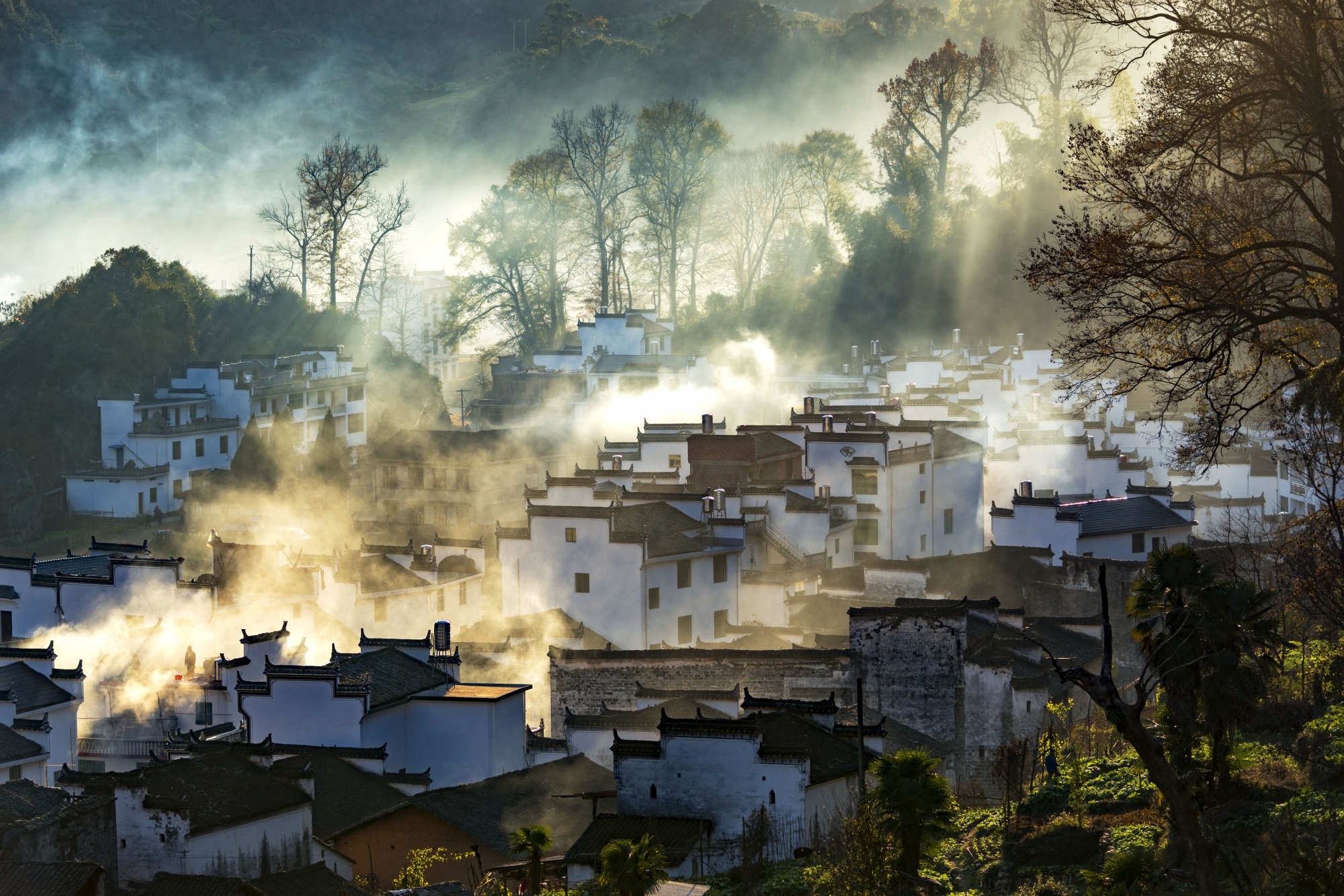 雾锁山村