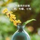 羽芬芬