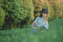 【重庆•天火】采茶记