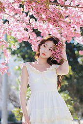 樱花树下的少女