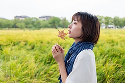 雨天的稻田