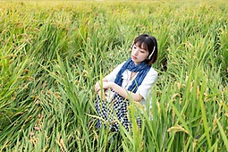 雨天的稻田
