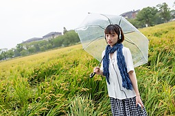 雨天的稻田