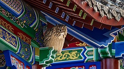 雕在屋檐下