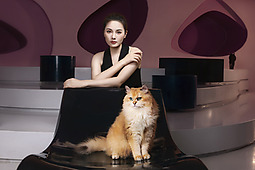 室内猫舍-美女与猫咪