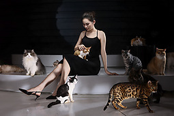 室内猫舍-美女与猫咪