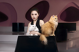 室内猫舍-美女与猫咪