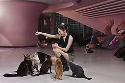 室内猫舍-美女与猫咪