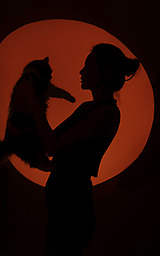 室内猫舍-美女与猫咪
