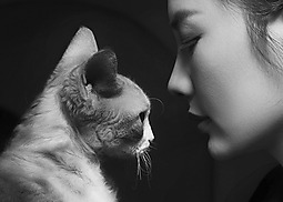 室内猫舍-美女与猫咪