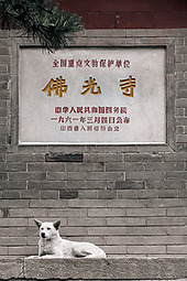 佛光寺（山西文宝行摄9）