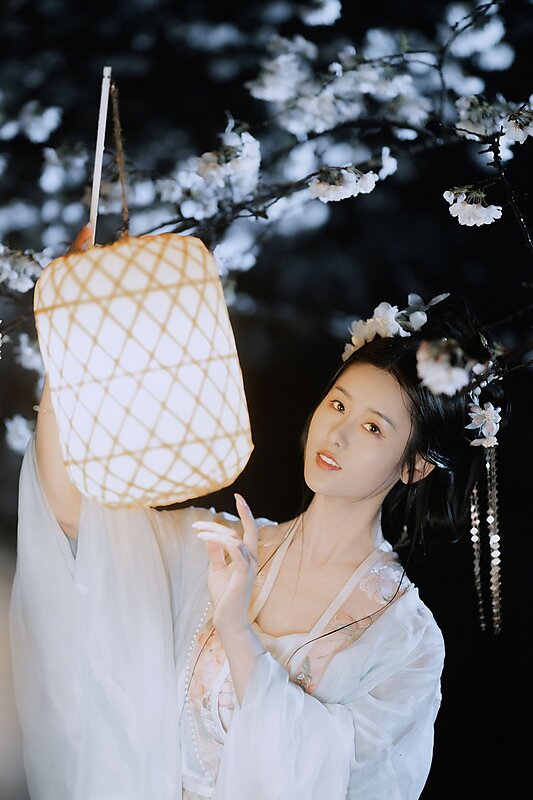 夜雨赏樱