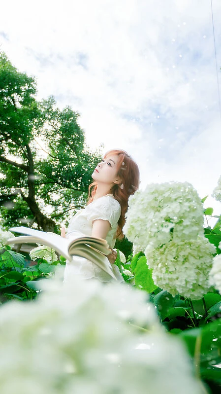 风递花笺