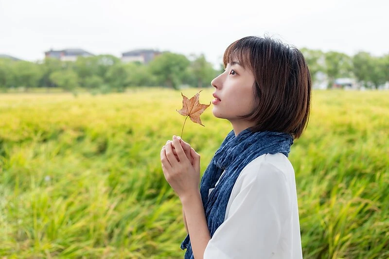 雨天的稻田