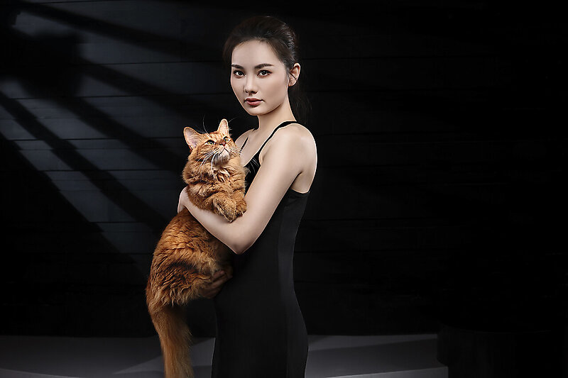室内猫舍-美女与猫咪