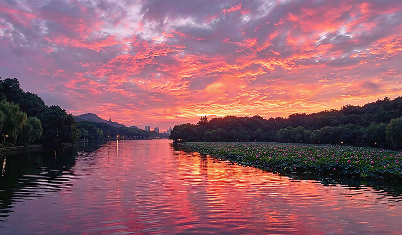 霞漫西泠